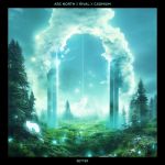 rival x arc north x cadmium